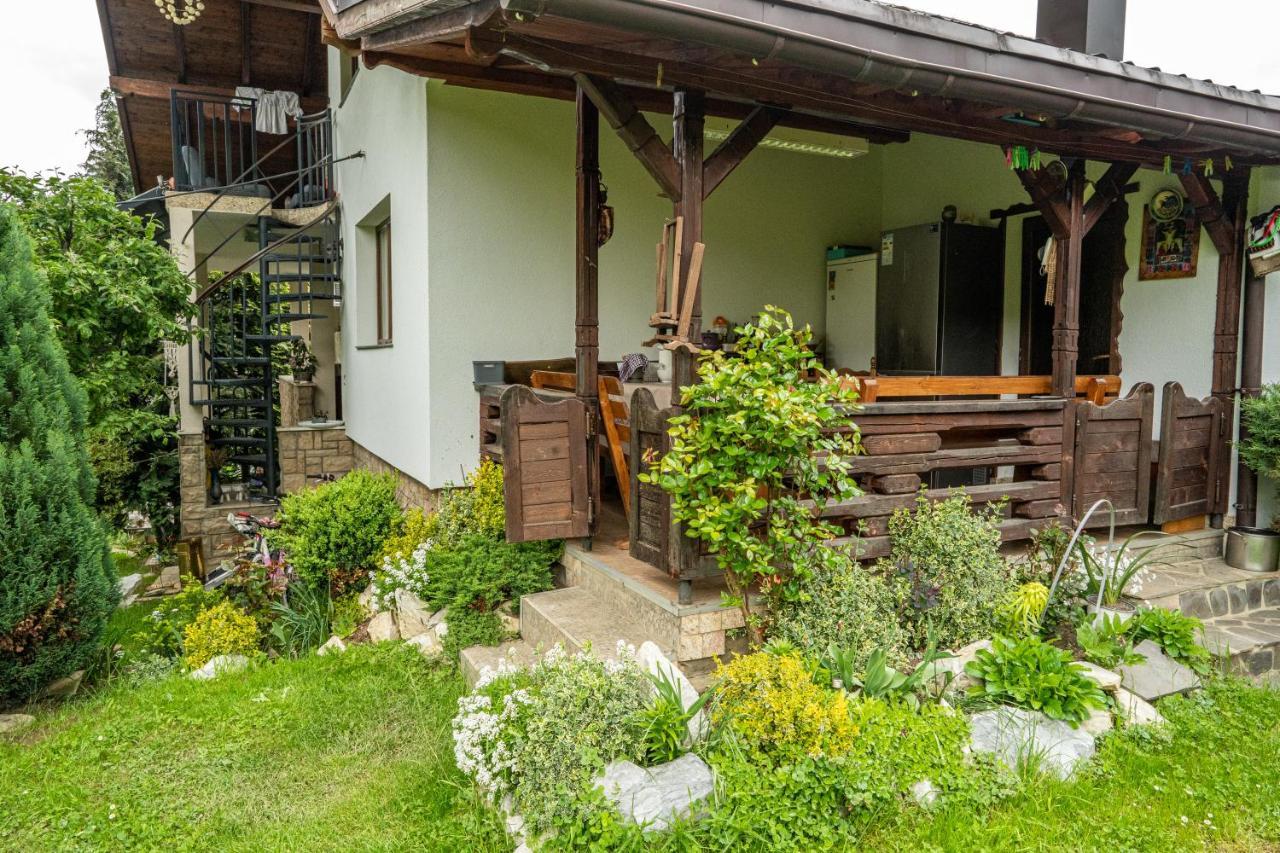 Cabana Rustic Борша Экстерьер фото