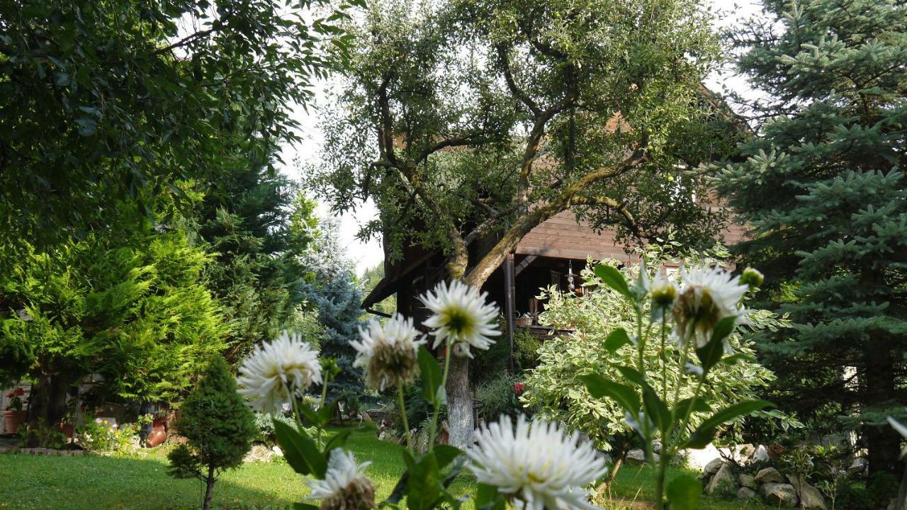 Cabana Rustic Борша Экстерьер фото