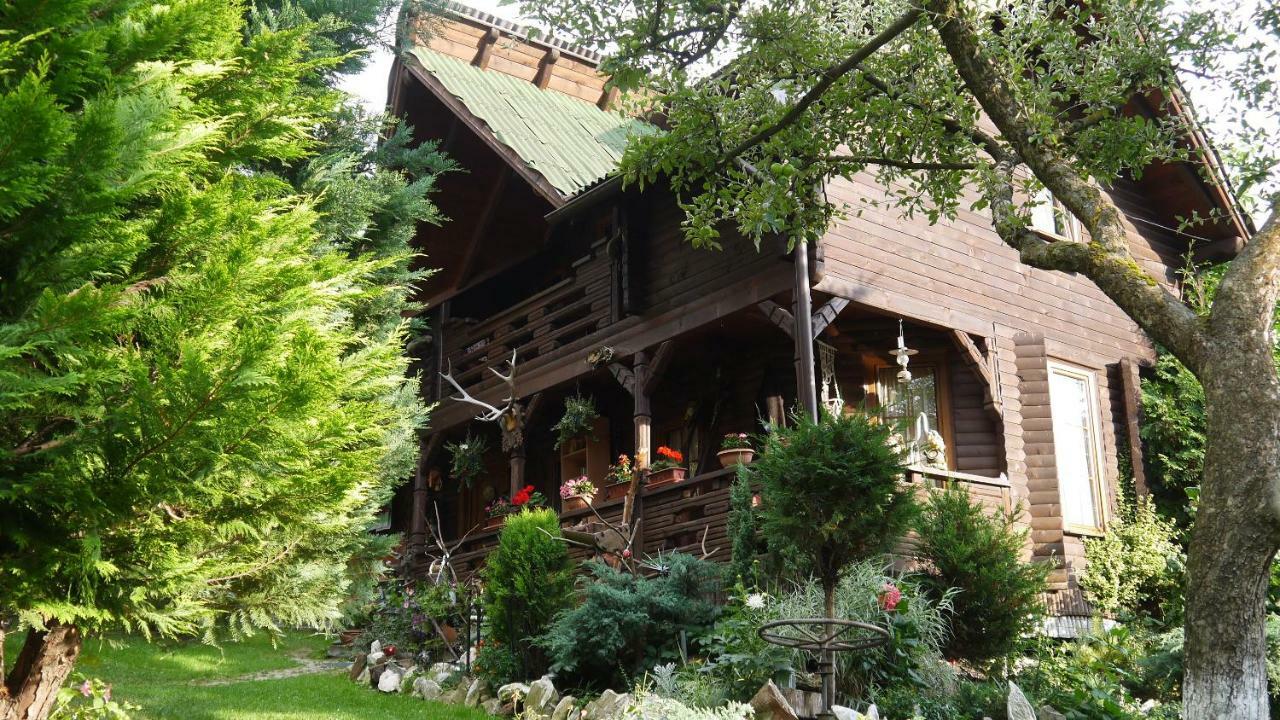 Cabana Rustic Борша Экстерьер фото